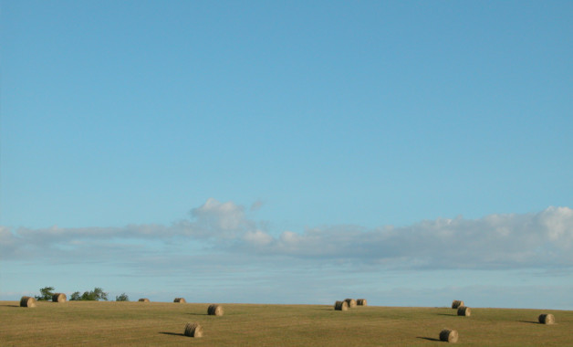 agrifoodlandscape